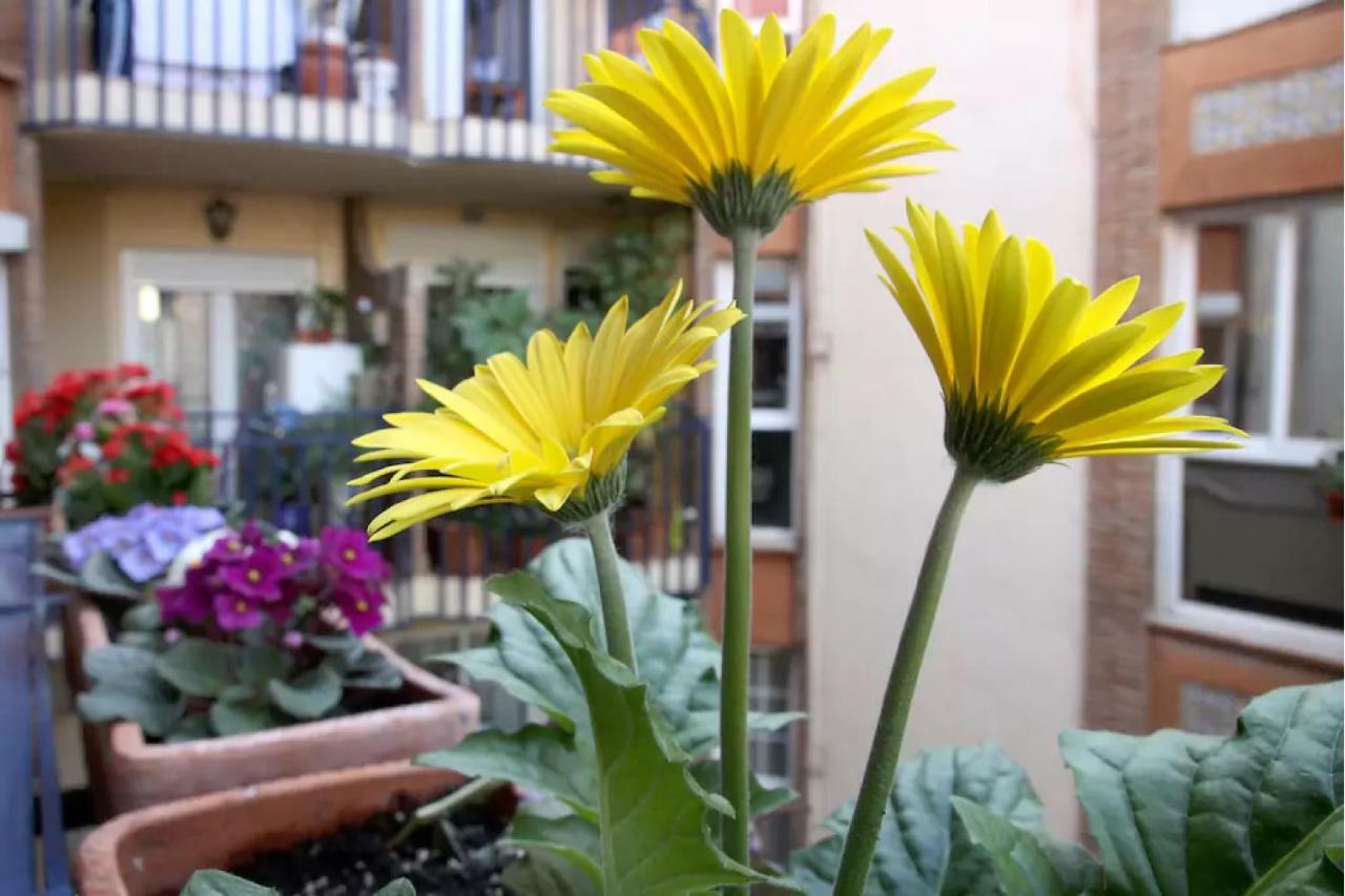 Ferienwohnung Apartamento Azahara Córdoba Exterior foto